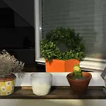 Apartment Alter Platz *