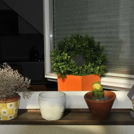 Apartman Alter Platz *